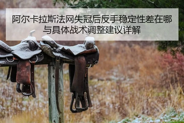 阿尔卡拉斯法网失冠后反手稳定性差在哪与具体战术调整建议详解