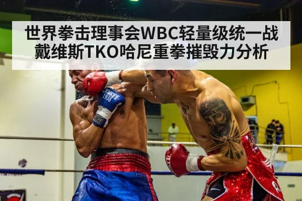 世界拳击理事会WBC轻量级统一战戴维斯TKO哈尼重拳摧毁力分析