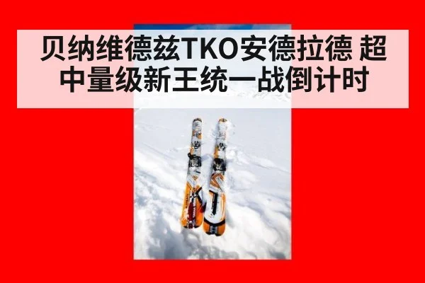 贝纳维德兹TKO安德拉德 超中量级新王统一战倒计时