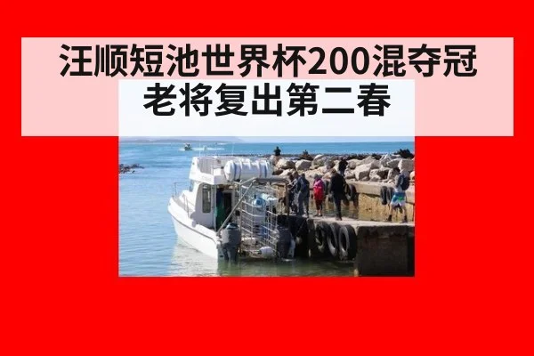 汪顺短池世界杯200混夺冠 老将复出第二春